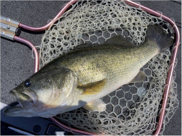 truth  ブログ写真 2023/07/17