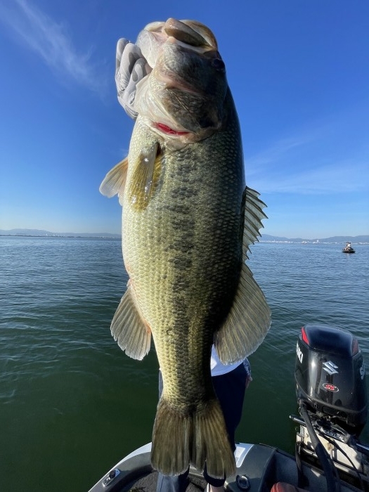 truth  ブログ写真 2023/07/18