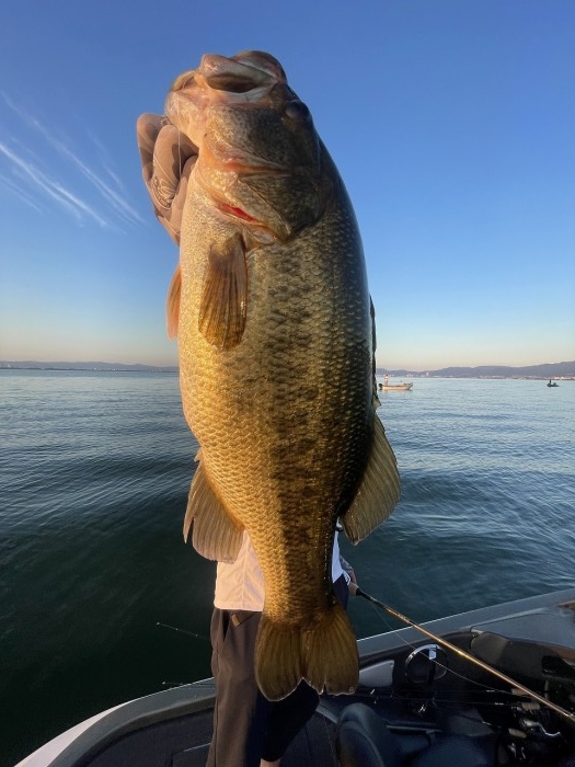 truth  ブログ写真 2023/07/18