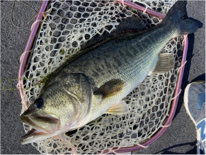 truth  ブログ写真 2023/07/18