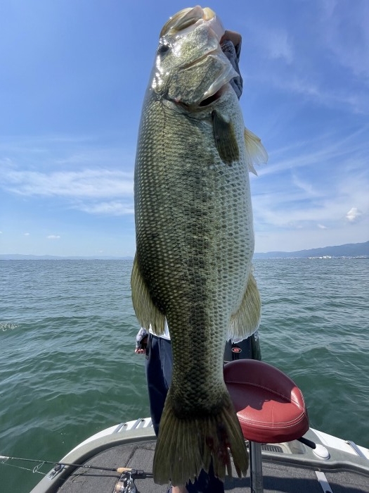 truth  ブログ写真 2023/07/18