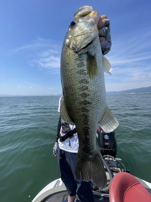 truth  ブログ写真 2023/07/18