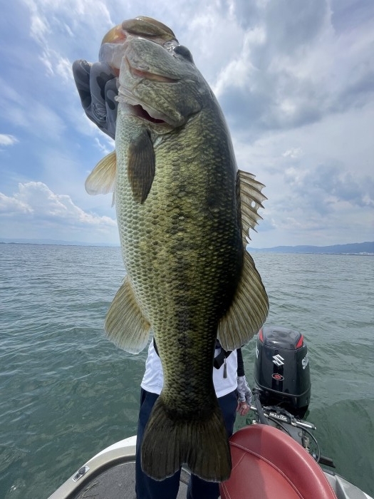 truth  ブログ写真 2023/07/18