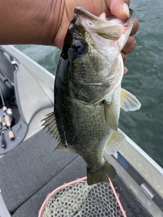 truth  ブログ写真 2023/07/18