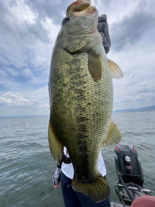 truth  ブログ写真 2023/07/18