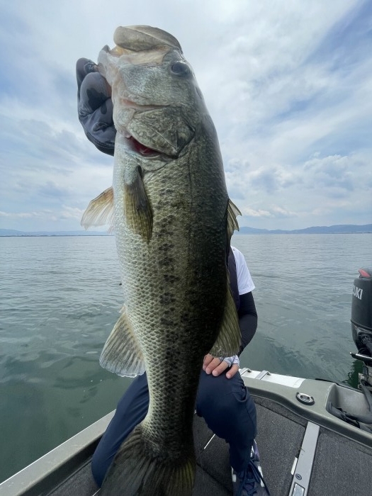 truth  ブログ写真 2023/07/18