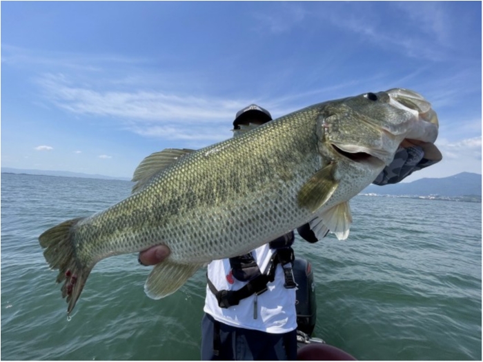 truth  ブログ写真 2023/07/18