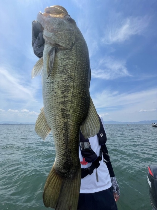 truth  ブログ写真 2023/07/18