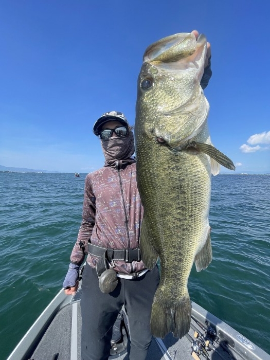 truth  ブログ写真 2023/07/23