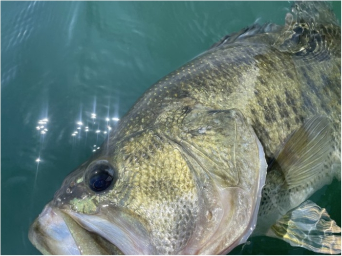 truth  ブログ写真 2023/07/24