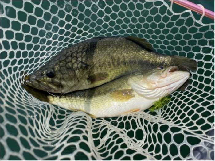 truth  ブログ写真 2023/07/25