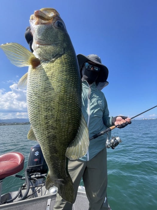 truth  ブログ写真 2023/07/25