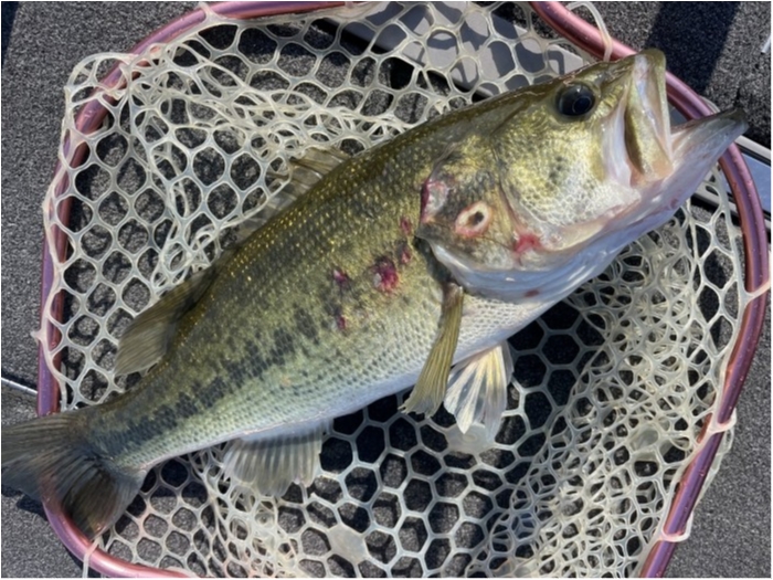 truth  ブログ写真 2023/07/26