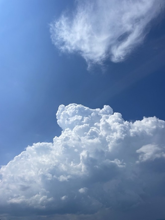 truth  ブログ写真 2023/07/26