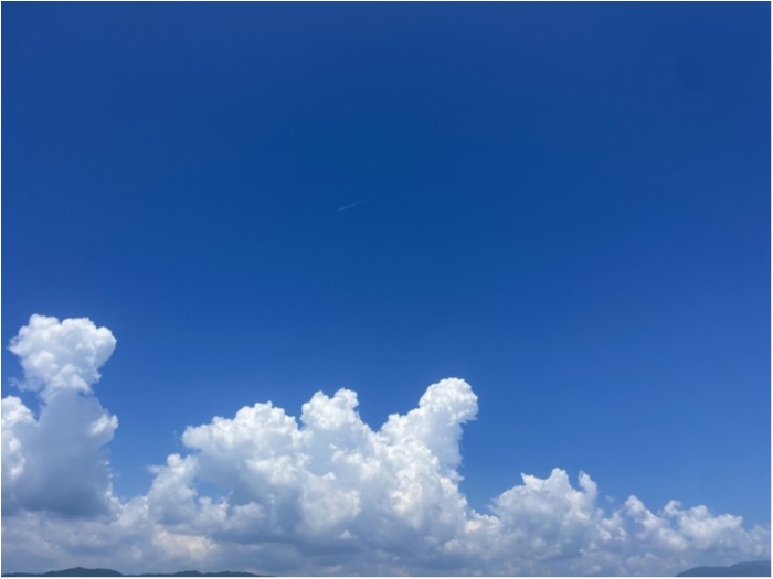 truth  ブログ写真 2023/07/27