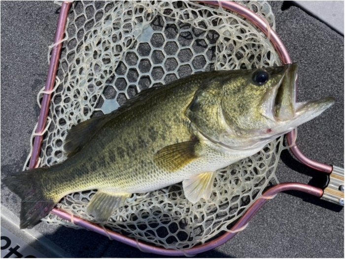 truth  ブログ写真 2023/07/27