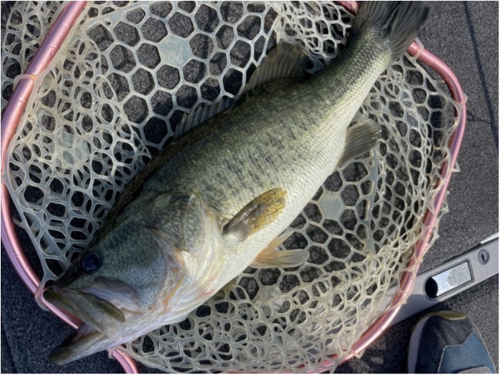 truth  ブログ写真 2023/07/27