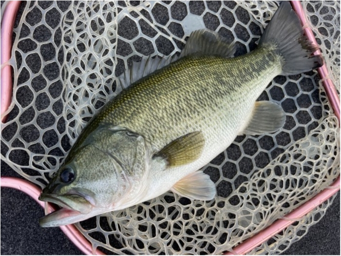 truth  ブログ写真 2023/07/27