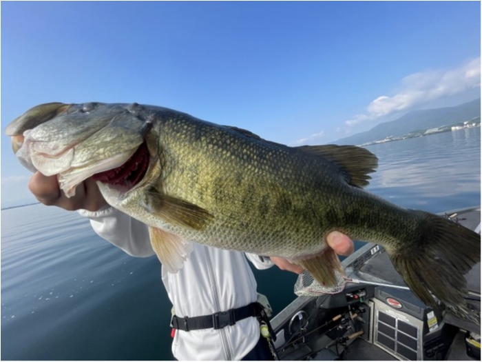 truth  ブログ写真 2023/07/28