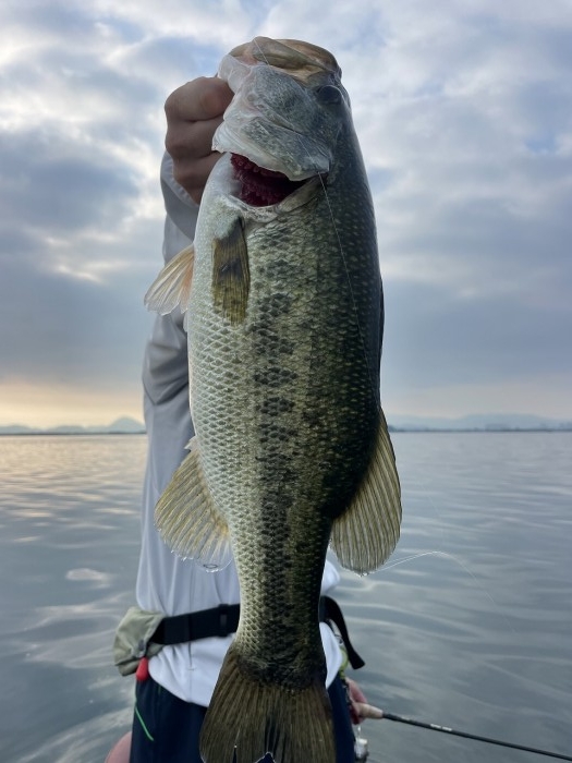 truth  ブログ写真 2023/07/28