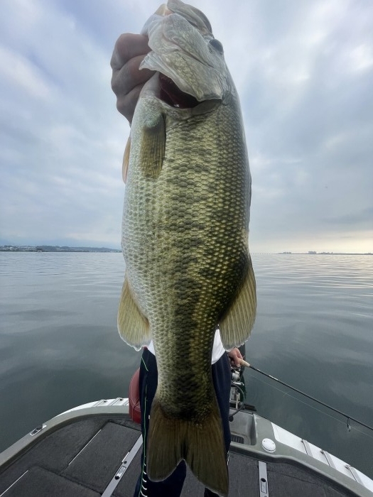 truth  ブログ写真 2023/07/28