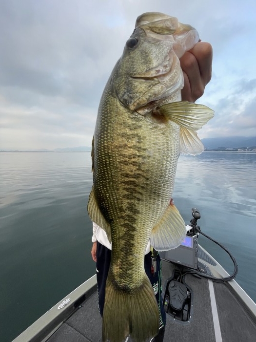 truth  ブログ写真 2023/07/28