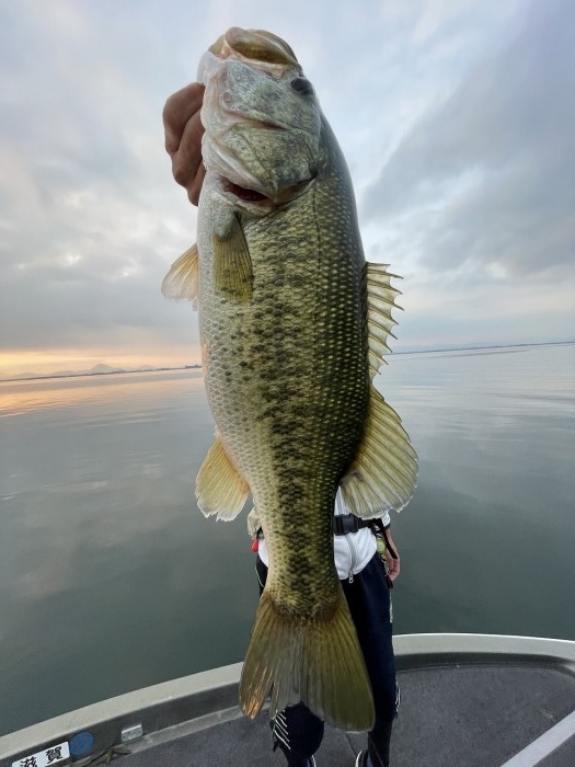 truth  ブログ写真 2023/07/28