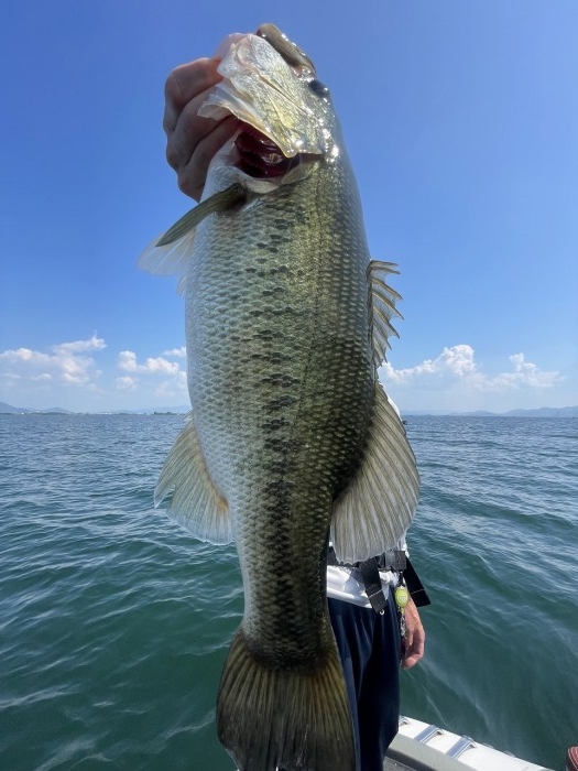 truth  ブログ写真 2023/07/28