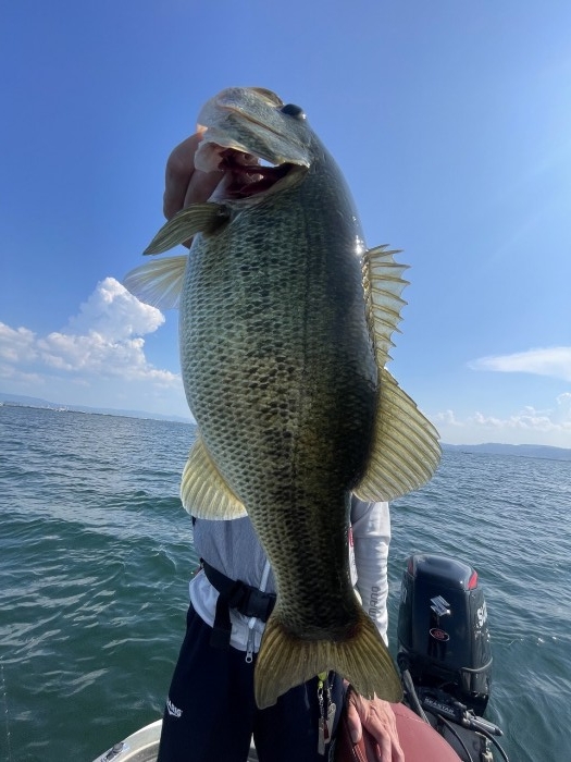 truth  ブログ写真 2023/07/28