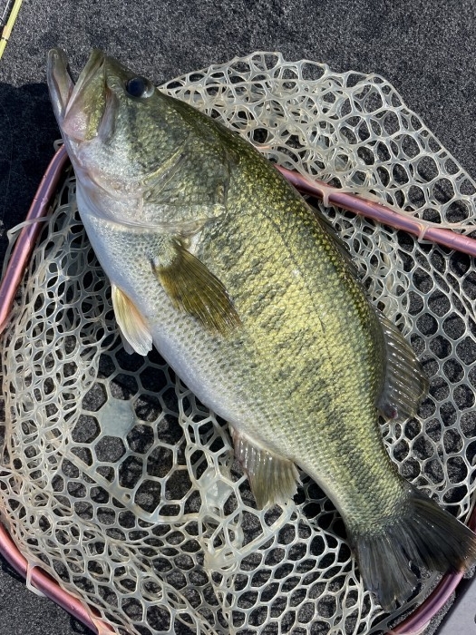 truth  ブログ写真 2023/07/28