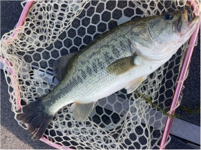 truth  ブログ写真 2023/08/01