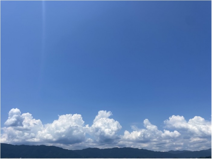 truth  ブログ写真 2023/08/13