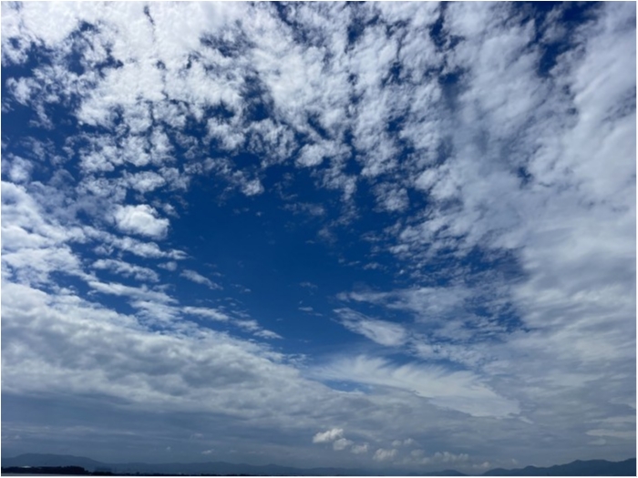 truth  ブログ写真 2023/08/14