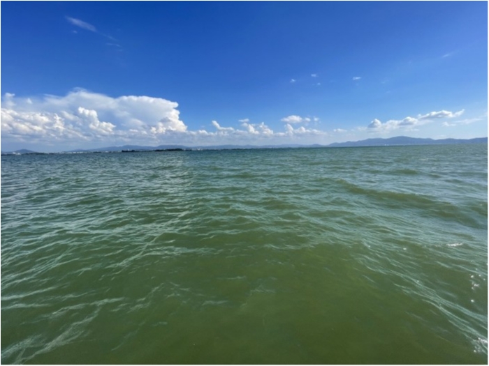 truth  ブログ写真 2023/08/16