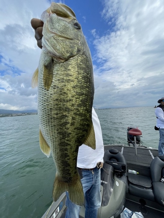 truth  ブログ写真 2023/08/16