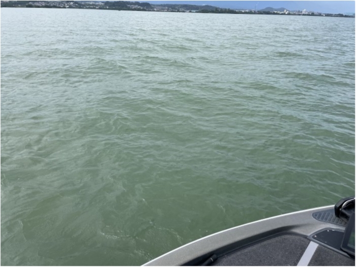 truth  ブログ写真 2023/08/18