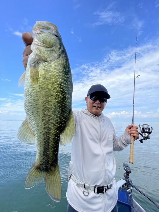 truth  ブログ写真 2023/08/19