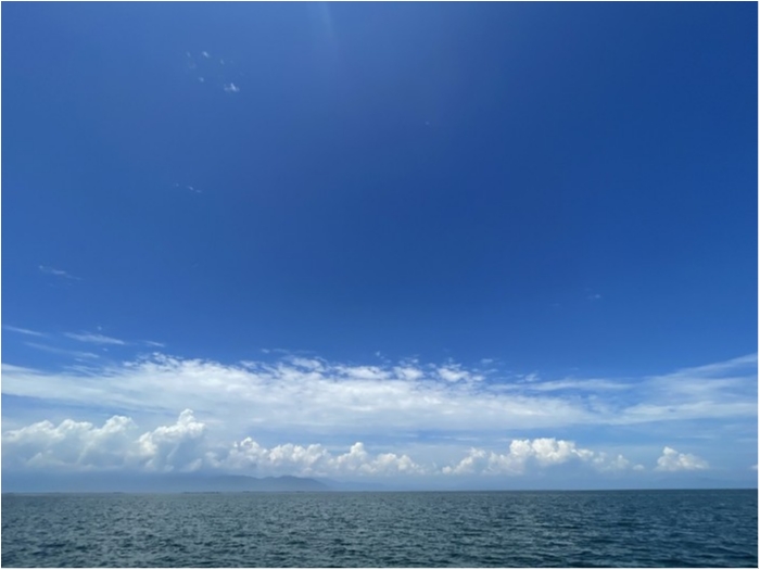 truth  ブログ写真 2023/08/19