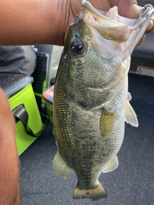 truth  ブログ写真 2023/08/23