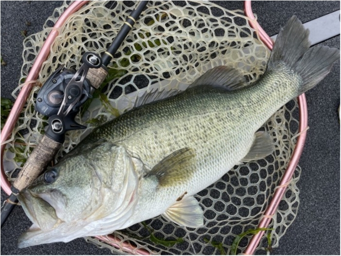 truth  ブログ写真 2023/08/23