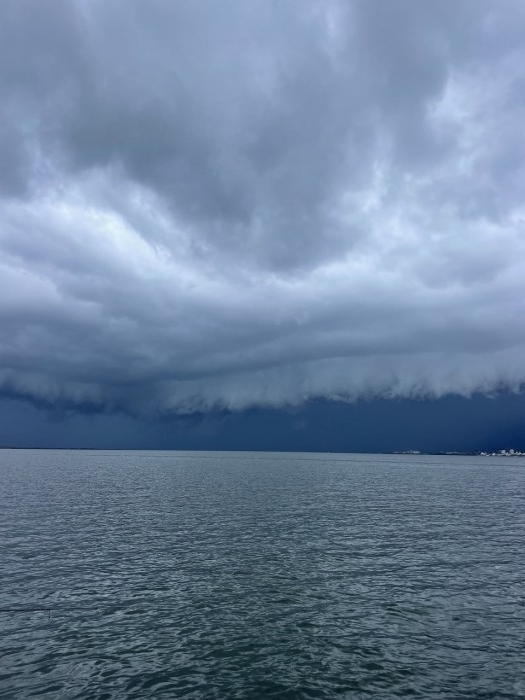 truth  ブログ写真 2023/08/24