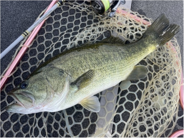 truth  ブログ写真 2023/09/01