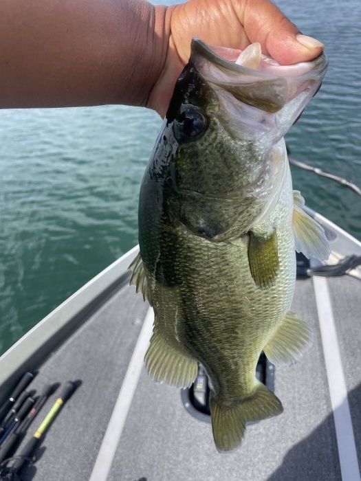 truth  ブログ写真 2023/09/01