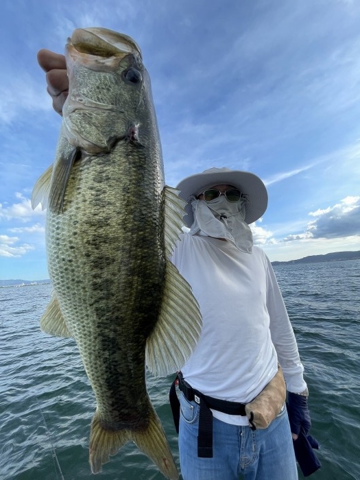 truth  ブログ写真 2023/09/01