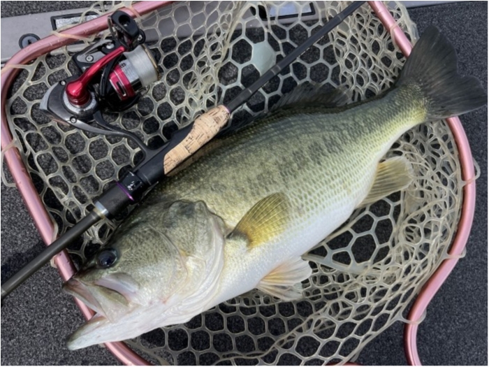 truth  ブログ写真 2023/09/02