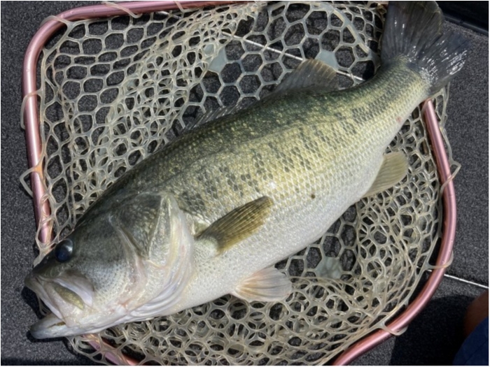 truth  ブログ写真 2023/09/03