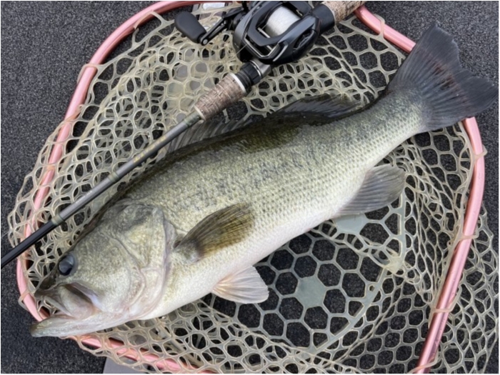 truth  ブログ写真 2023/09/03