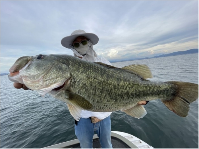 truth  ブログ写真 2023/09/03