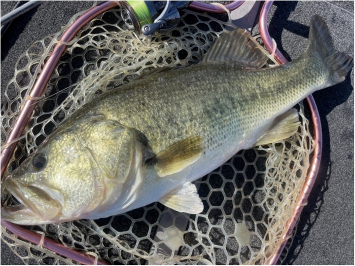 truth  ブログ写真 2023/09/03