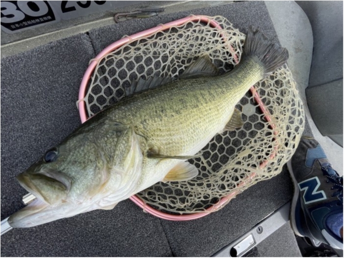 truth  ブログ写真 2023/09/04